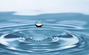 Минерал с живыми клетками поможет в отчистке сточных вод 