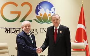 Президенты Турции и Бразилии обсудили конфликты в Украине и секторе Газа