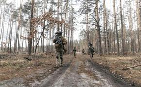 Меркурис: оборона ВСУ под Харьковом, несмотря на элитные части, рушится