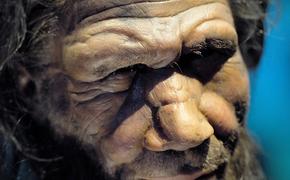 Древнейшие вирусы обнаружены в останках неандертальцев возрастом 50 000 лет