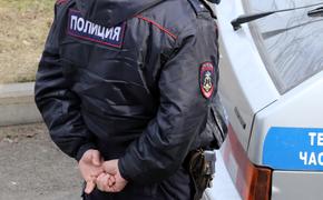 Полицейские задержали активиста и градозащитника Олега Мухина в Петербурге