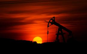 Власти РФ хотят увеличить запасы нефти и газа к 2050 году