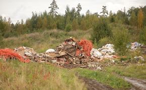 Жители Стеклянного сообщают о новой нелегальной свалке вблизи поселка