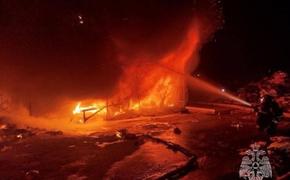 При пожаре в СНТ в Подмосковье погибли шесть человек