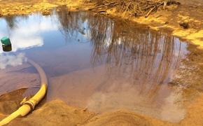 Загрязнение золотыми рудниками отравляет воду и почву Соуэто в Южной Африке