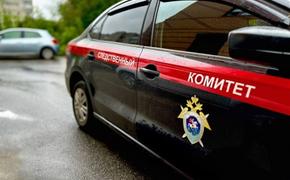 СКР: похищенный в Ярославле 2-летний ребенок найден, девочка жива и здорова