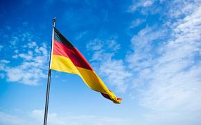 «Альтернатива для Германии» заняла второе место на выборах в Европарламент в ФРГ