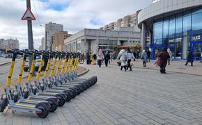 Петербуржцы смогут научиться управлять самокатами