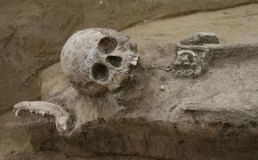 В Польше найдено 1600-летнее гуннское двойное захоронение