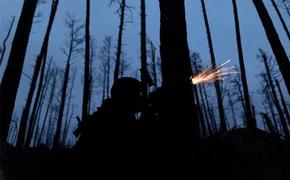Украинские военные обстреляли Никитовский район Горловки кассетными снарядами