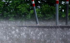 Тишковец: 20 июня в Москве ожидаются сильные ливни, в Подмосковье - смерч