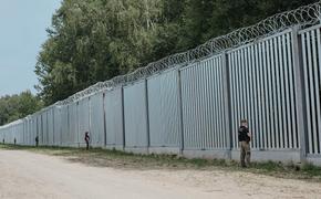 Сикорский: Польша рассматривает вариант полного закрытия границы с Белоруссией