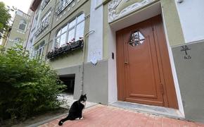 Петербуржцы чаще выбирают аренду жилья вместо ипотеки
