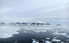 Тихоокеанские воды добрались до Северного полюса