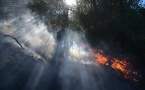 В Греции бушуют пожары