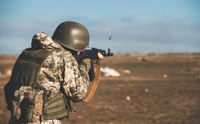ТАСС: рота украинских солдат дезертировала с позиций ВСУ под Горловкой