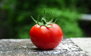 Диетолог Кабанов: помидоры нельзя есть натощак