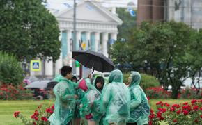 В Петербурге начал действовать «желтый» уровень опасности из-за непогоды