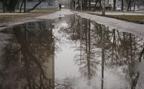 Петербуржцы жалуются на лужи, мусор и упавшие деревья