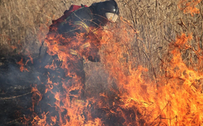 В Хабаровском крае лесные пожары заняли более чем 18 тысяч гектаров