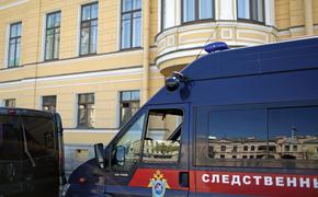 СК Ленобласти возбудил уголовное дело по факту смертельного ДТП на «Нарве»