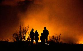 МЧС: на западе Крыма лесной пожар локализован на площади 17 гектаров