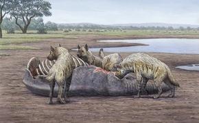 Памятник раннего плейстоцена содержит одни из старейших следов обитания человека