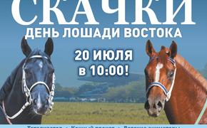 На Краснодарском ипподроме пройдет 8 скаковой день, посвященный «Лошади Востока»