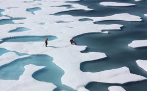 Охлаждающая способность Арктики упала на 25%