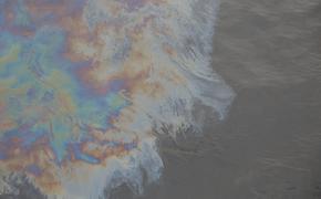 В акватории реки Невы обнаружены следы загрязнения нефтепродуктами
