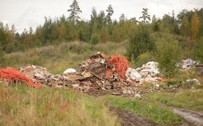 Прокуратура намерена взыскать 6,5 млн рублей за незаконное использование земли