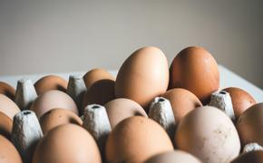 Нутрициолог Вавилова: людям с повышенным холестерином не стоит есть яйца