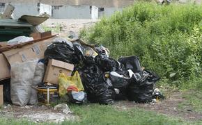 Петербуржцы вновь направили свыше тысячи жалоб на благоустройство города