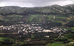Ynet: Израиль не планирует полномасштабной войны с Ливаном 
