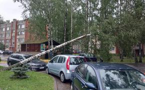   Латвию настигло стихийное бедствие