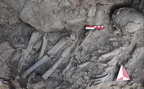12 000-летнее захоронение в Турции может принадлежать женщине-шаманке