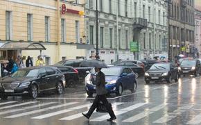 В воскресенье жителей Петербурга ждет гроза