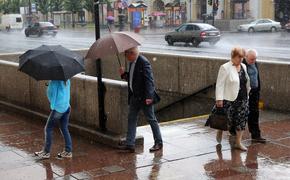 Прошедшие дожди принесли новую волну жалоб от петербуржцев на лужи и ливневки