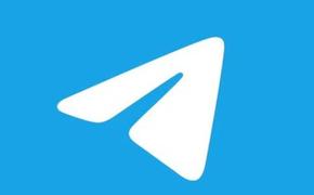 Германский депутат Котре назвал причиной ареста Дурова защиту Telegram оппозиции