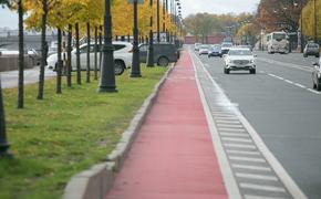 Во Фрунзенском районе планируют проложить почти трехкилометровую велодорожку