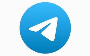 Юрист Хаминский: бизнес-модель Telegram напоминает финансовую пирамиду