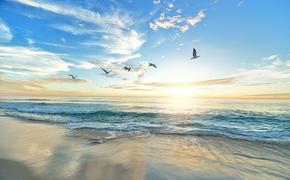 Учёные выяснили влияние холодных глубинных вод на морскую экосистему 