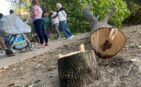 Жители московского района Хорошево-Мневники не зря понадеялись на Александра Бастрыкина — СК начал проверку по их обращению