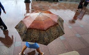 МЧС четвертый день подряд предупреждает о непогоде в Петербурге