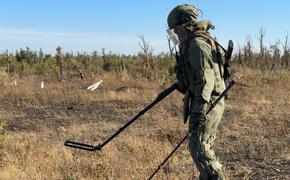 Саперы Южной группировки войск возвращают территории ДНР к мирной жизни 