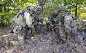 За месяц на территории ДНР спецназом Росгвардии обнаружено более двух тысяч снарядов и миномётных мин