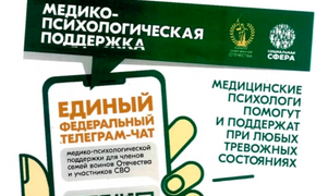 В Хабаровском крае начал работу чат для помощи участникам СВО и их близким