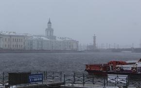 Атмосферный фронт принесет в Петербург мокрый снег