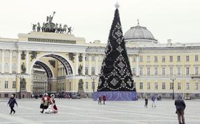 Главная новогодняя елка доставлена на Дворцовую площадь