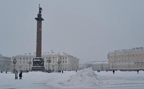 Ветер и снег стал причиной введения «желтого» уровня опасности в Петербурге 